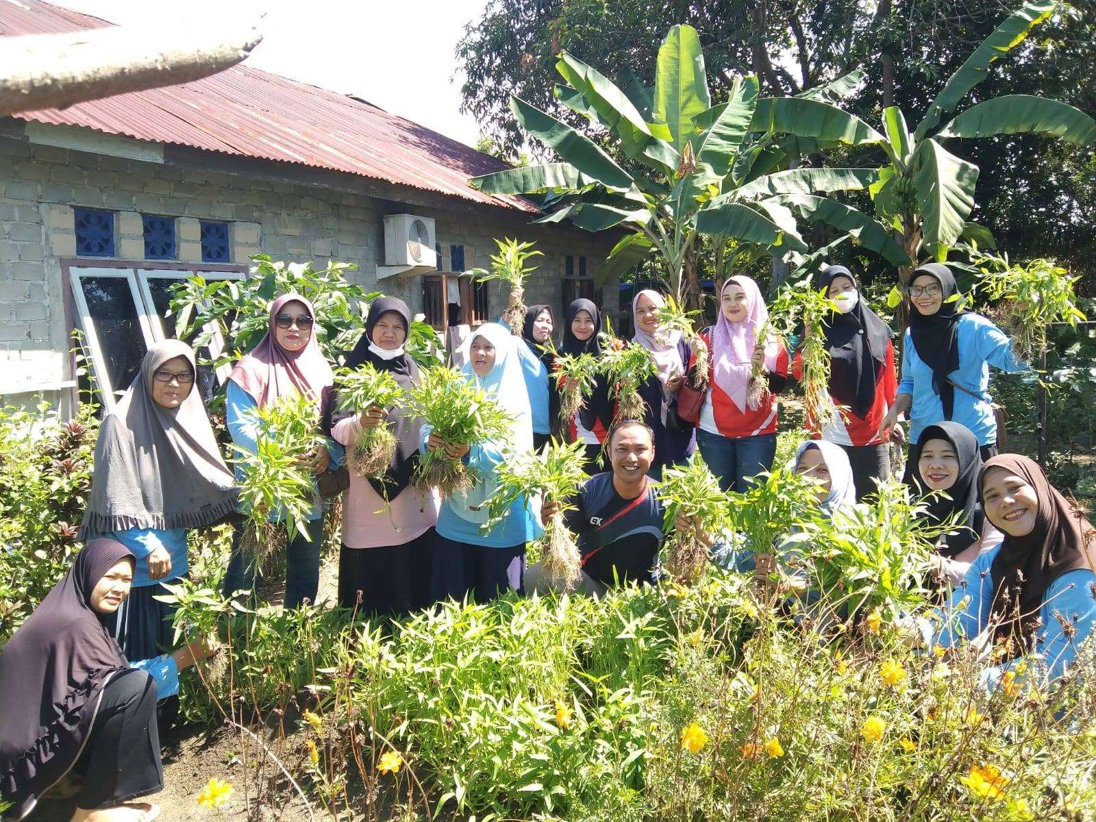Kegiatan Panen Sayur Kangkung di Kebun PKK Kelurahan Sungaibaru